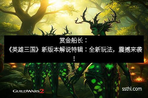 赏金船长：《英雄三国》新版本解说特辑：全新玩法，震撼来袭！